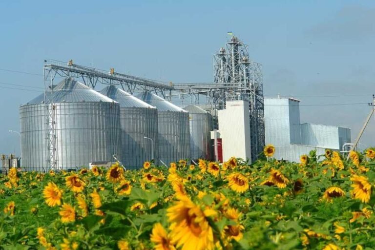 Інтернет-технології в сучасному агробізнесі України