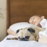 Тест визначення хронотипу людини