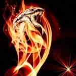 2024 рік якої тварини за східним календарем – символ, значення та опис